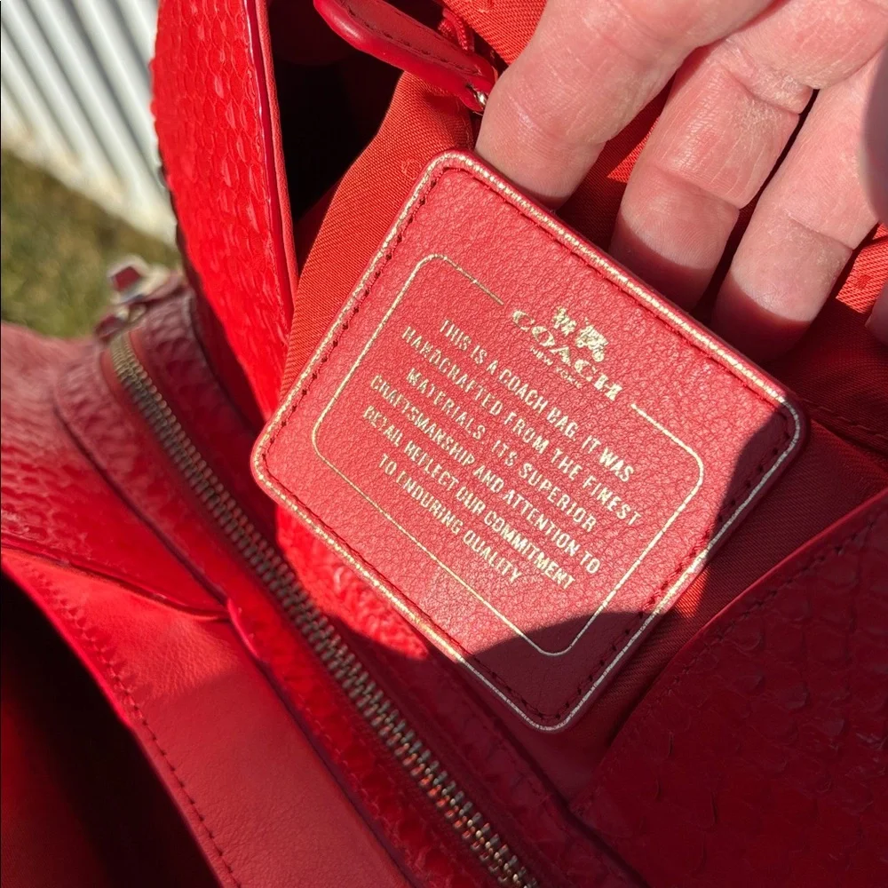 Coach Edie Python Handbag EUC, Color Watermelon